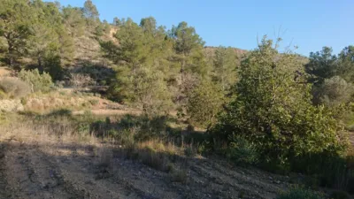 Terreno en venta en Área de Finestrat - Vista 4