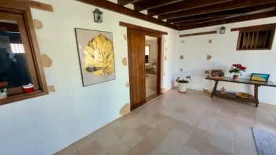 Rustic Finca in Gran Tarajal photo 10