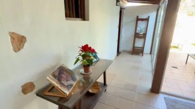 Rustic Finca in Gran Tarajal photo 16