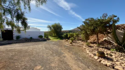 Rustic Finca in Gran Tarajal photo 3
