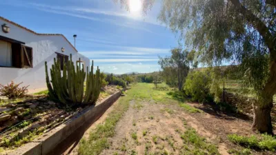 Rustic Finca in Gran Tarajal photo 46