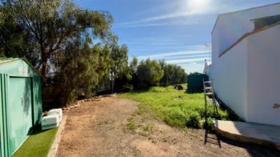 Rustic Finca in Gran Tarajal photo 49