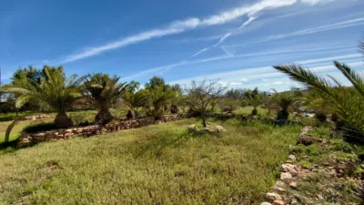 Rustic Finca in Gran Tarajal photo 4