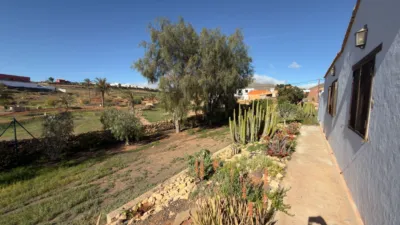 Rustic Finca in Gran Tarajal photo 57