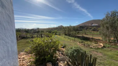 Rustic Finca in Gran Tarajal photo 58