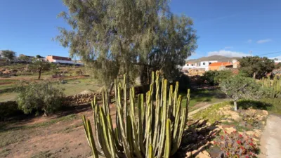 Rustic Finca in Gran Tarajal photo 59