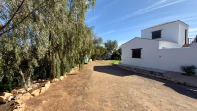 Rustic Finca in Gran Tarajal photo 5