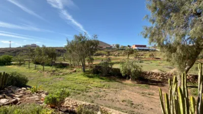 Rustic Finca in Gran Tarajal photo 60