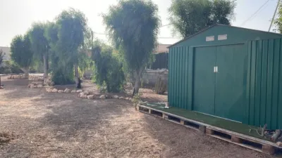 Rustic Finca in Gran Tarajal photo 6
