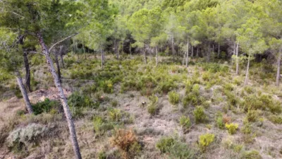 Terreno en venta en Área de Finestrat - Vista 5