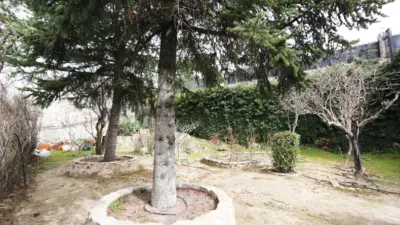 Chalet in Colmenarejo photo 17