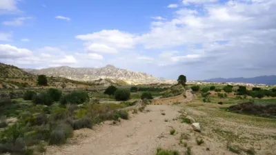 Rustic Finca in Abanilla photo 2