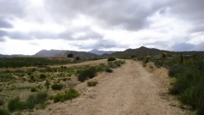 Rustic Finca in Abanilla photo 3