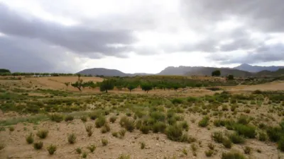 Rustic Finca in Abanilla photo 5