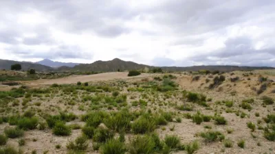 Rustic Finca in Abanilla photo 6
