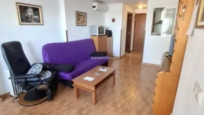 Apartment in Racó de l'Oix photo 25