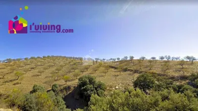 Rustic finca in El Gor photo 2
