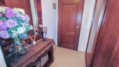 Apartment in Platja de Ponent photo 19