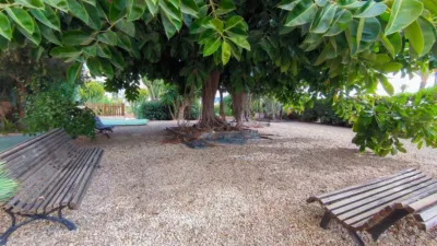 Apartment in Platja de Ponent photo 27