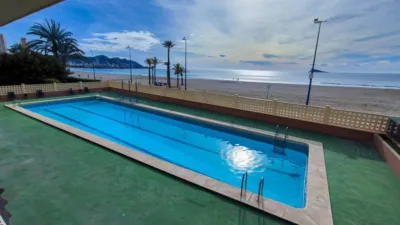 Apartment in Platja de Ponent photo 28