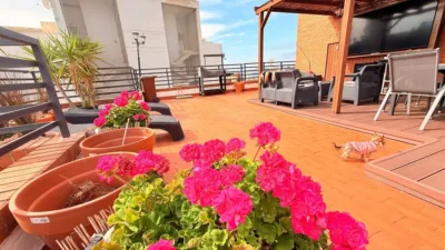 Apartment in Racó de l'Oix photo 4