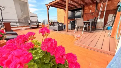 Apartment in Racó de l'Oix photo 8