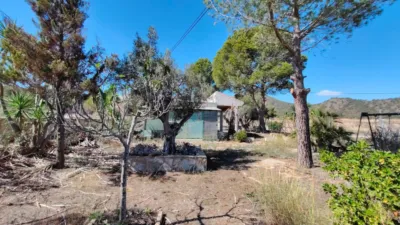 Chalet in Abanilla photo 108