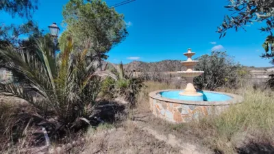 Chalet in Abanilla photo 110