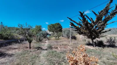Chalet in Abanilla photo 111