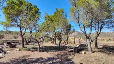 Chalet in Abanilla photo 114