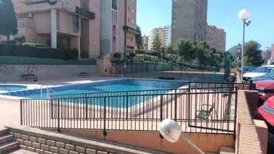 Studio in Platja de Ponent photo 10