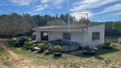 Chalet in Godelleta photo 15