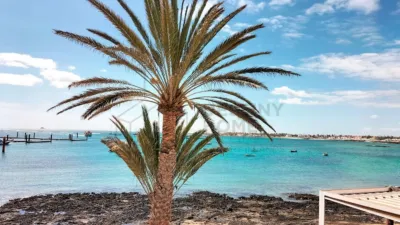 Chalet in Corralejo photo 24