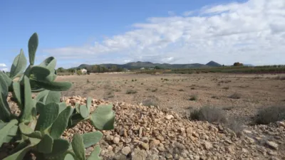 Rustic Finca in El Pinós - Pinoso photo 2