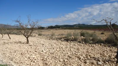 Rustic Finca in El Pinós - Pinoso photo 3
