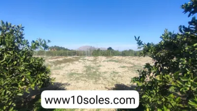 Casa – Jacarilla - Vista 2