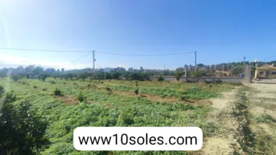 Casa – Jacarilla - Vista 3