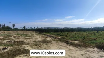 Casa – Jacarilla - Vista 4