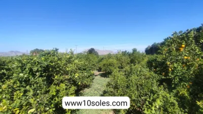 Casa – Jacarilla - Vista 5