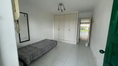 Apartment in El Botánico photo 16