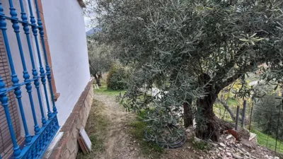 Rustic Finca in Casarabonela photo 12