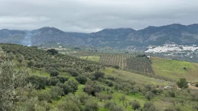 Rustic Finca in Casarabonela photo 14