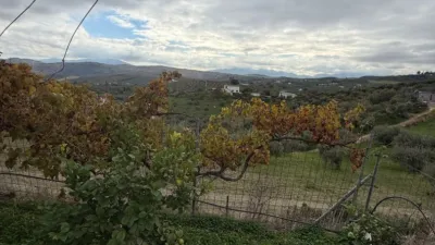 Rustic Finca in Casarabonela photo 20