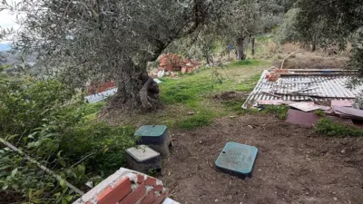 Rustic Finca in Casarabonela photo 21