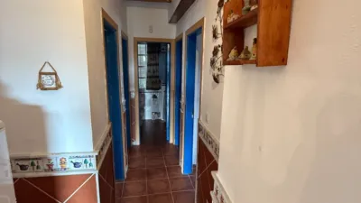 Rustic Finca in Casarabonela photo 33
