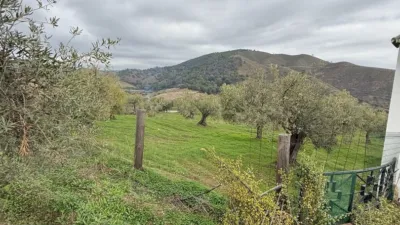 Rustic Finca in Casarabonela photo 45
