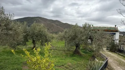 Rustic Finca in Casarabonela photo 5