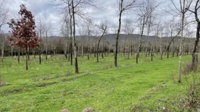 Finca rústica en venta en Plasencia - Más