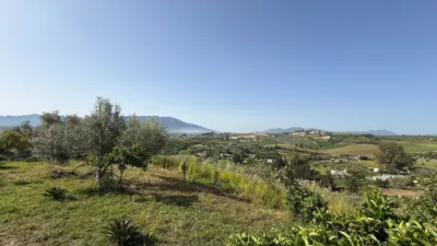 Rustic Finca in Cártama photo 43