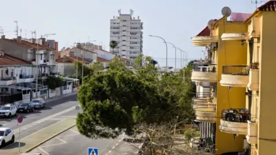 Apartment in Tamarit-Platja Lissa photo 21